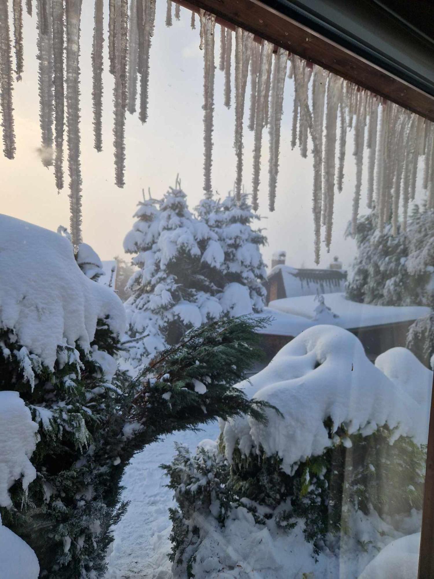 Chata Jeleni Drevenice S Vlastni Virivkou Horni Halze Exterior photo