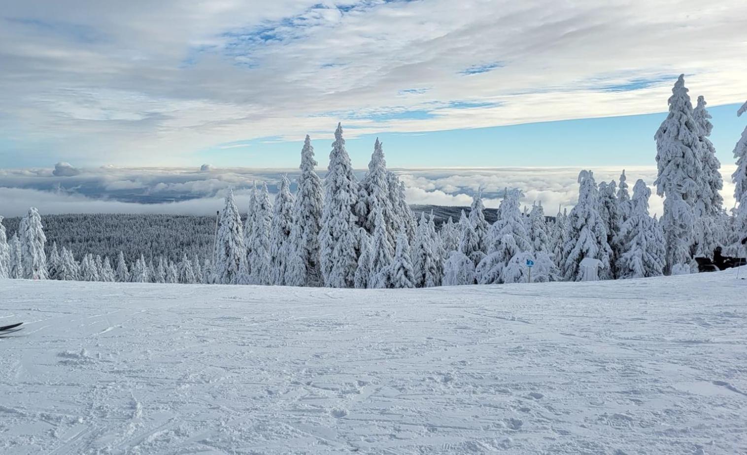 Chata Jeleni Drevenice S Vlastni Virivkou Horni Halze Exterior photo